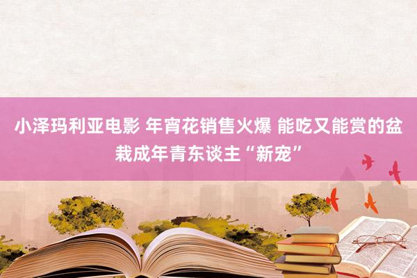 小泽玛利亚电影 年宵花销售火爆 能吃又能赏的盆栽成年青东谈主“新宠”