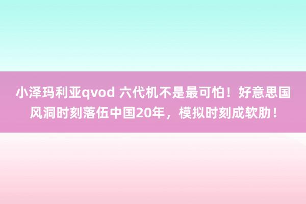 小泽玛利亚qvod 六代机不是最可怕！好意思国风洞时刻落伍中国20年，模拟时刻成软肋！