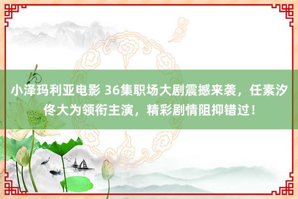 小泽玛利亚电影 36集职场大剧震撼来袭，任素汐佟大为领衔主演，精彩剧情阻抑错过！