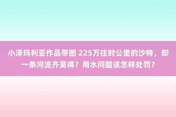 小泽玛利亚作品带图 225万往时公里的沙特，却一条河流齐莫得？用水问题该怎样处罚？