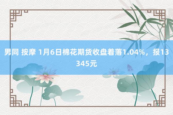 男同 按摩 1月6日棉花期货收盘着落1.04%，报13345元