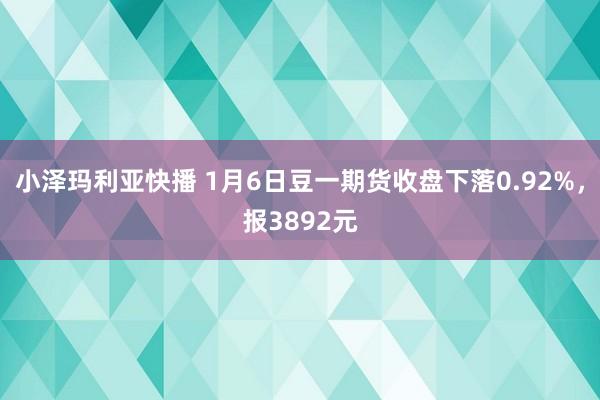 小泽玛利亚快播 1月6日豆一期货收盘下落0.92%，报3892元