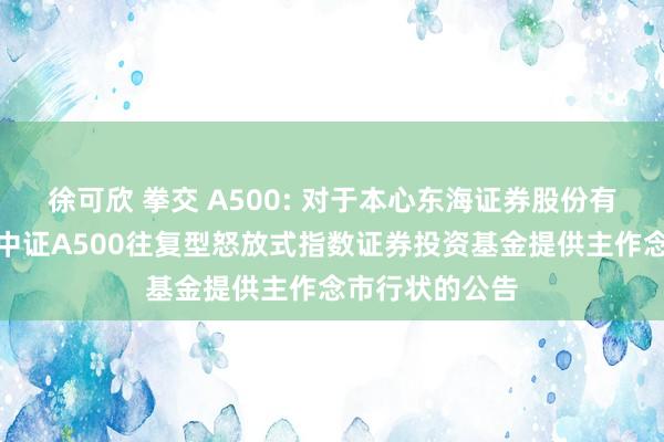 徐可欣 拳交 A500: 对于本心东海证券股份有限公司为鹏华中证A500往复型怒放式指数证券投资基金提供主作念市行状的公告