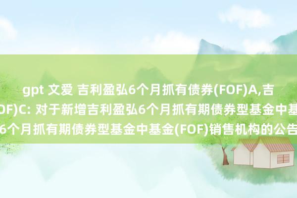 gpt 文爱 吉利盈弘6个月抓有债券(FOF)A，吉利盈弘6个月抓有债券(FOF)C: 对于新增吉利盈弘6个月抓有期债券型基金中基金(FOF)销售机构的公告