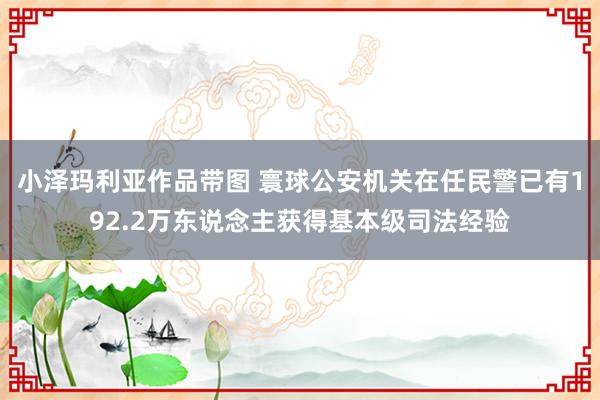 小泽玛利亚作品带图 寰球公安机关在任民警已有192.2万东说念主获得基本级司法经验