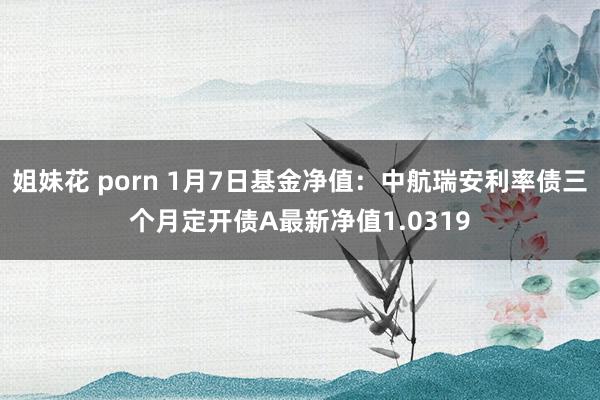 姐妹花 porn 1月7日基金净值：中航瑞安利率债三个月定开债A最新净值1.0319