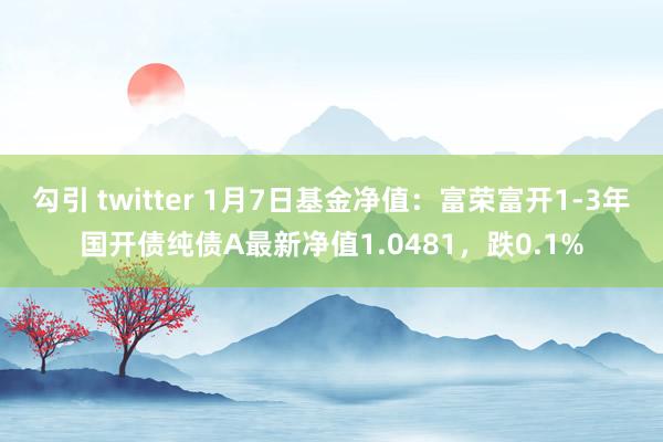 勾引 twitter 1月7日基金净值：富荣富开1-3年国开债纯债A最新净值1.0481，跌0.1%