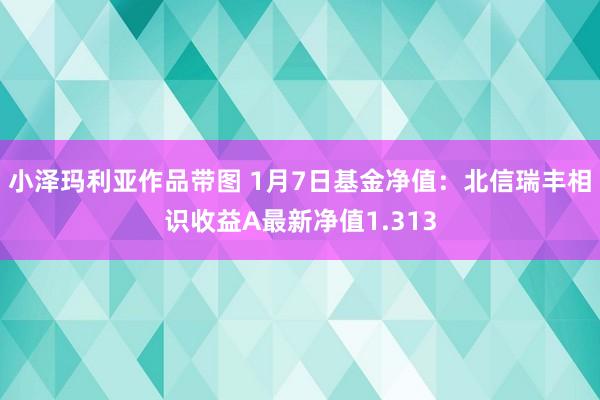 小泽玛利亚作品带图 1月7日基金净值：北信瑞丰相识收益A最新净值1.313