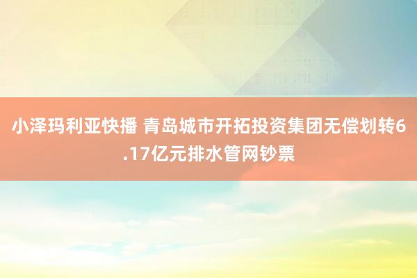 小泽玛利亚快播 青岛城市开拓投资集团无偿划转6.17亿元排水管网钞票