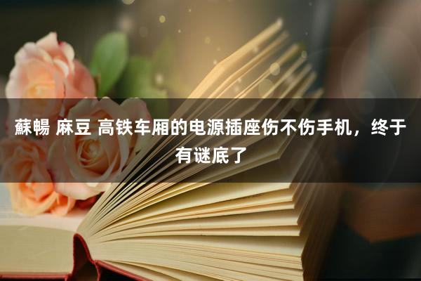 蘇暢 麻豆 高铁车厢的电源插座伤不伤手机，终于有谜底了