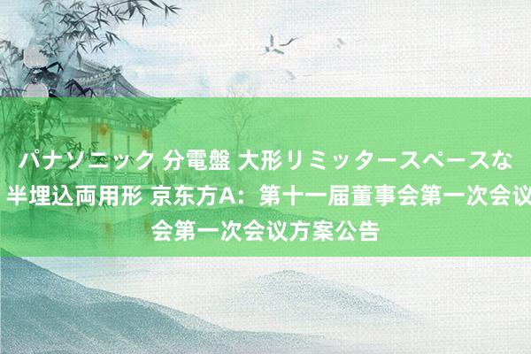 パナソニック 分電盤 大形リミッタースペースなし 露出・半埋込両用形 京东方A：第十一届董事会第一次会议方案公告