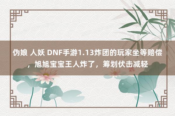 伪娘 人妖 DNF手游1.13炸团的玩家坐等赔偿，旭旭宝宝王人炸了，筹划伏击减轻