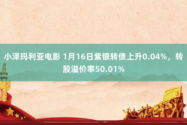 小泽玛利亚电影 1月16日紫银转债上升0.04%，转股溢价率50.01%