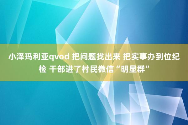 小泽玛利亚qvod 把问题找出来 把实事办到位纪检 干部进了村民微信“明显群”