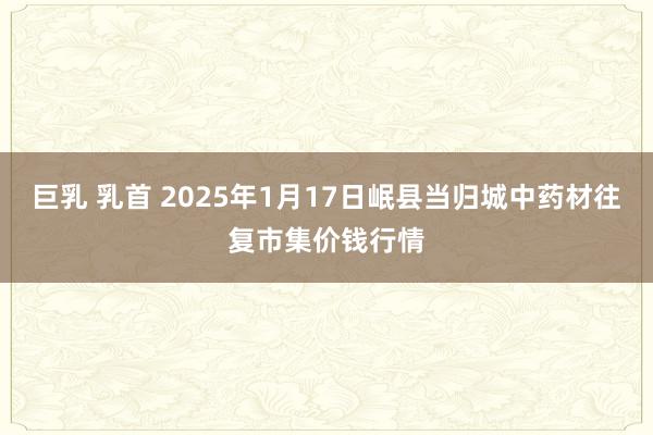 巨乳 乳首 2025年1月17日岷县当归城中药材往复市集价钱行情